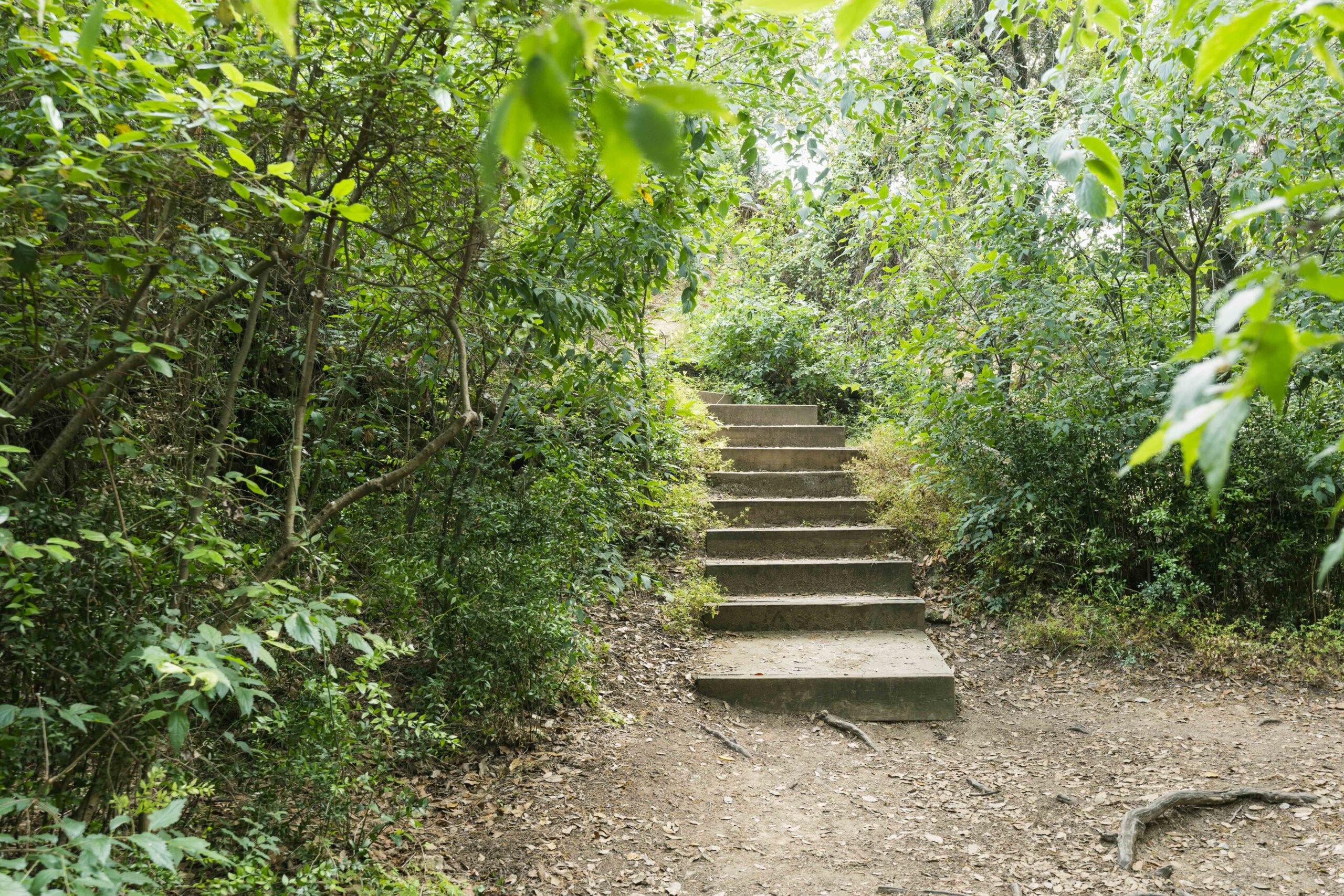 Parc du domaine de méric montpellier