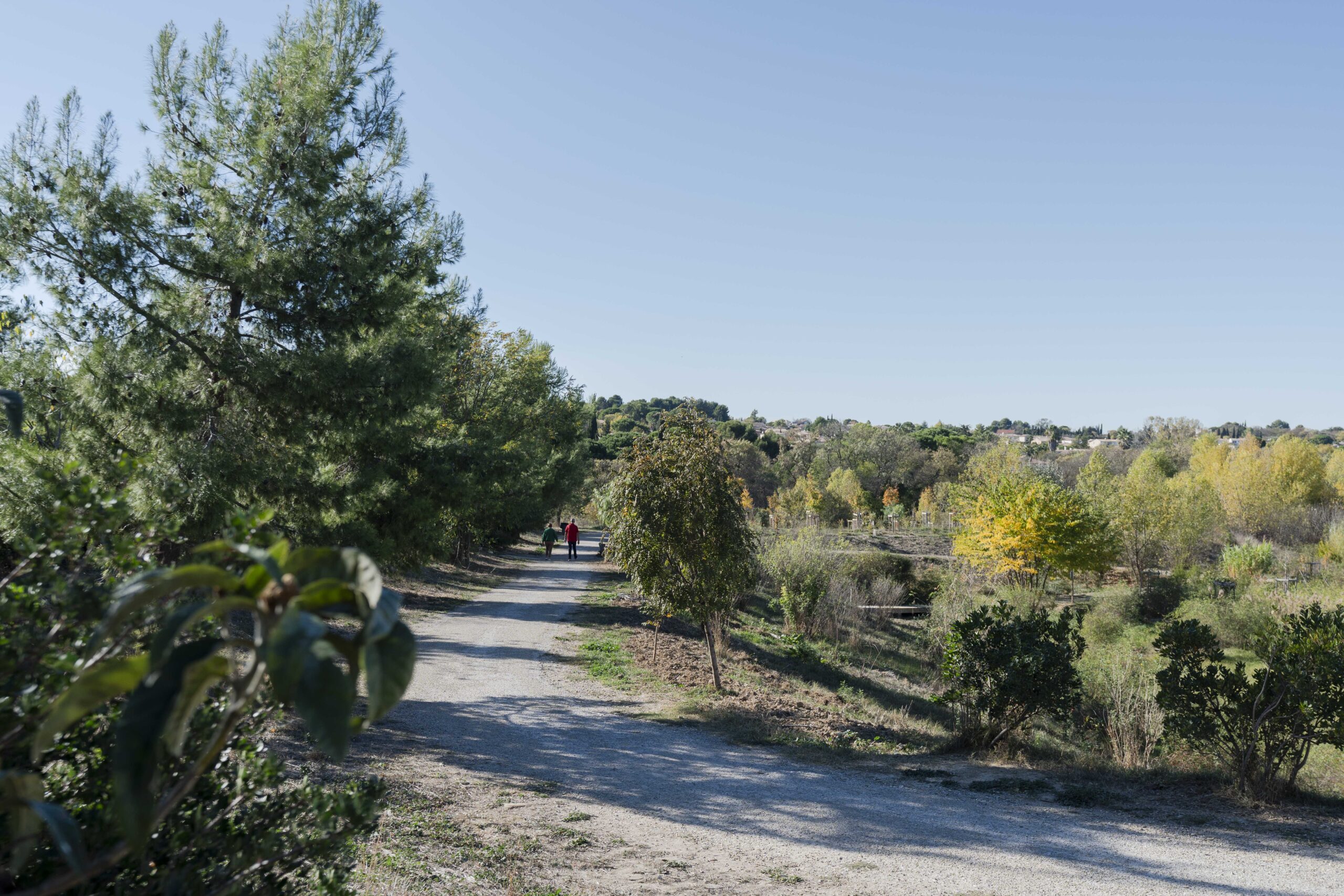 Histoire du parc Rieucoulon