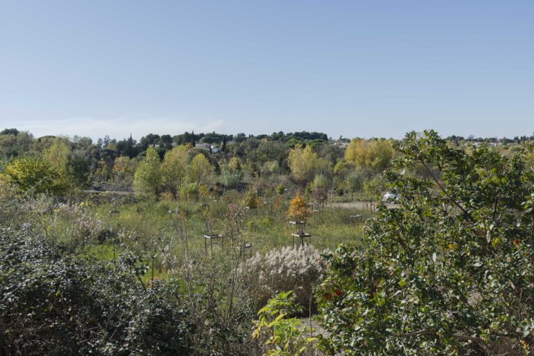 Parc Rieucoulon à Montpellier : Domaine Historique et Fiche Pratique
