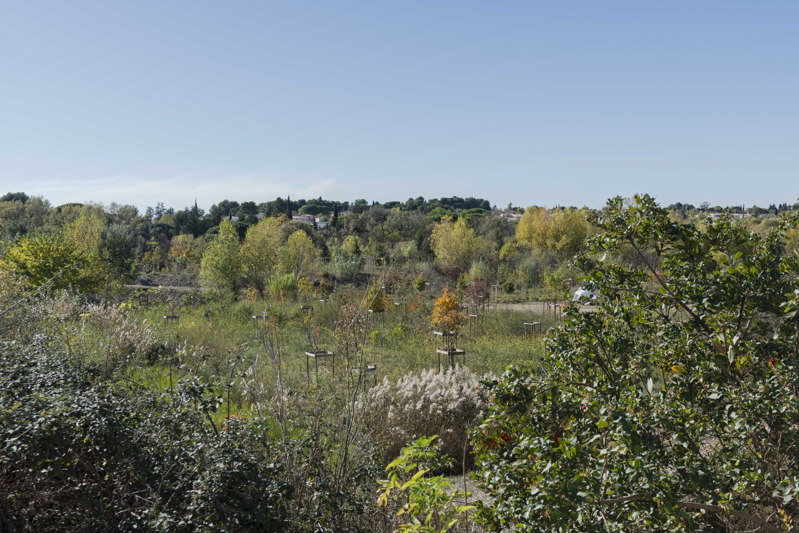 Parc Rieucoulon à Montpellier : Domaine Historique et Fiche Pratique