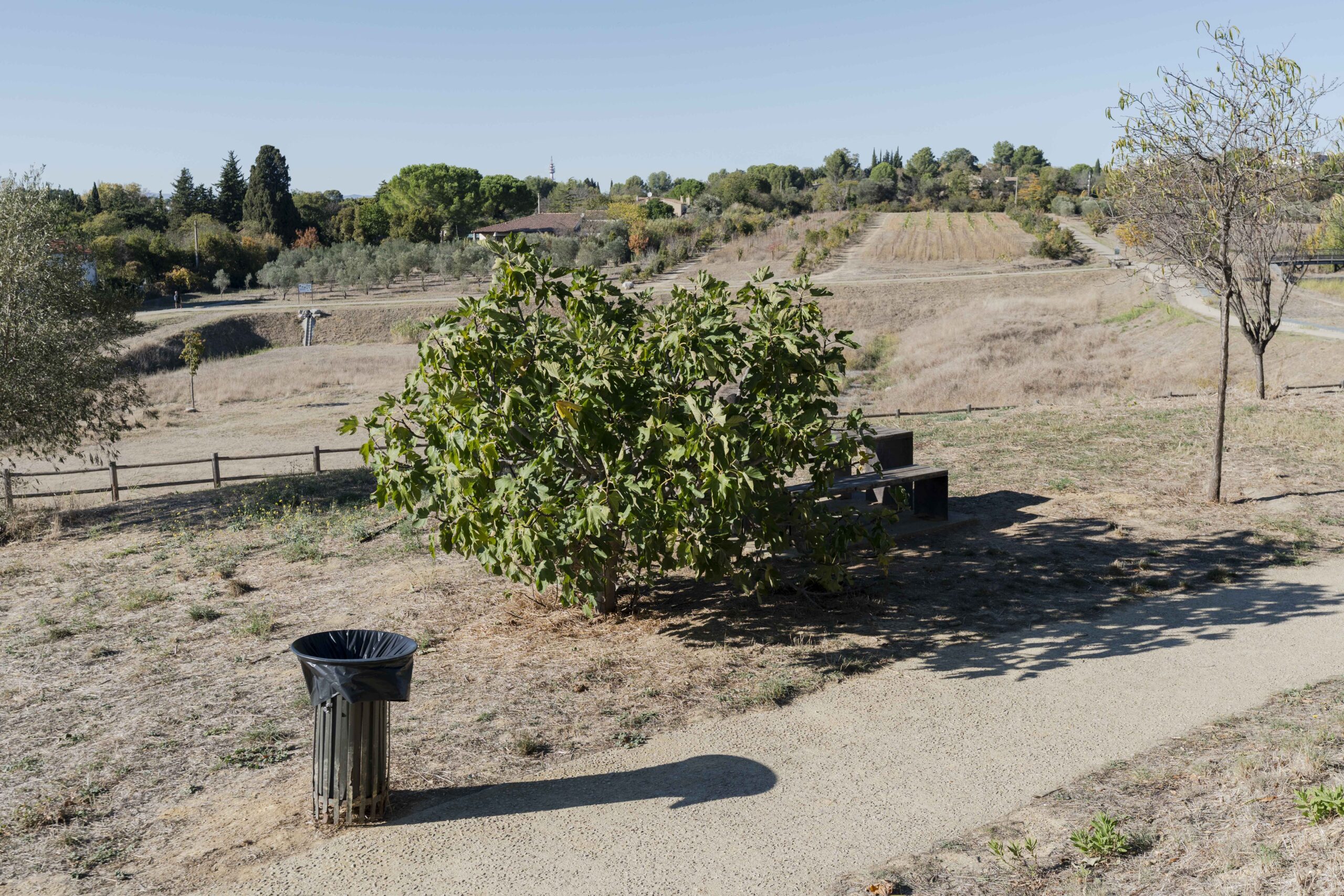 Histoire du Parc Sabines
