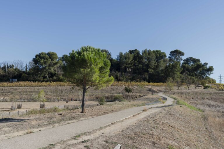 Parc Sabines à Montpellier : Espace Vert, Histoire et Infos Pratiques