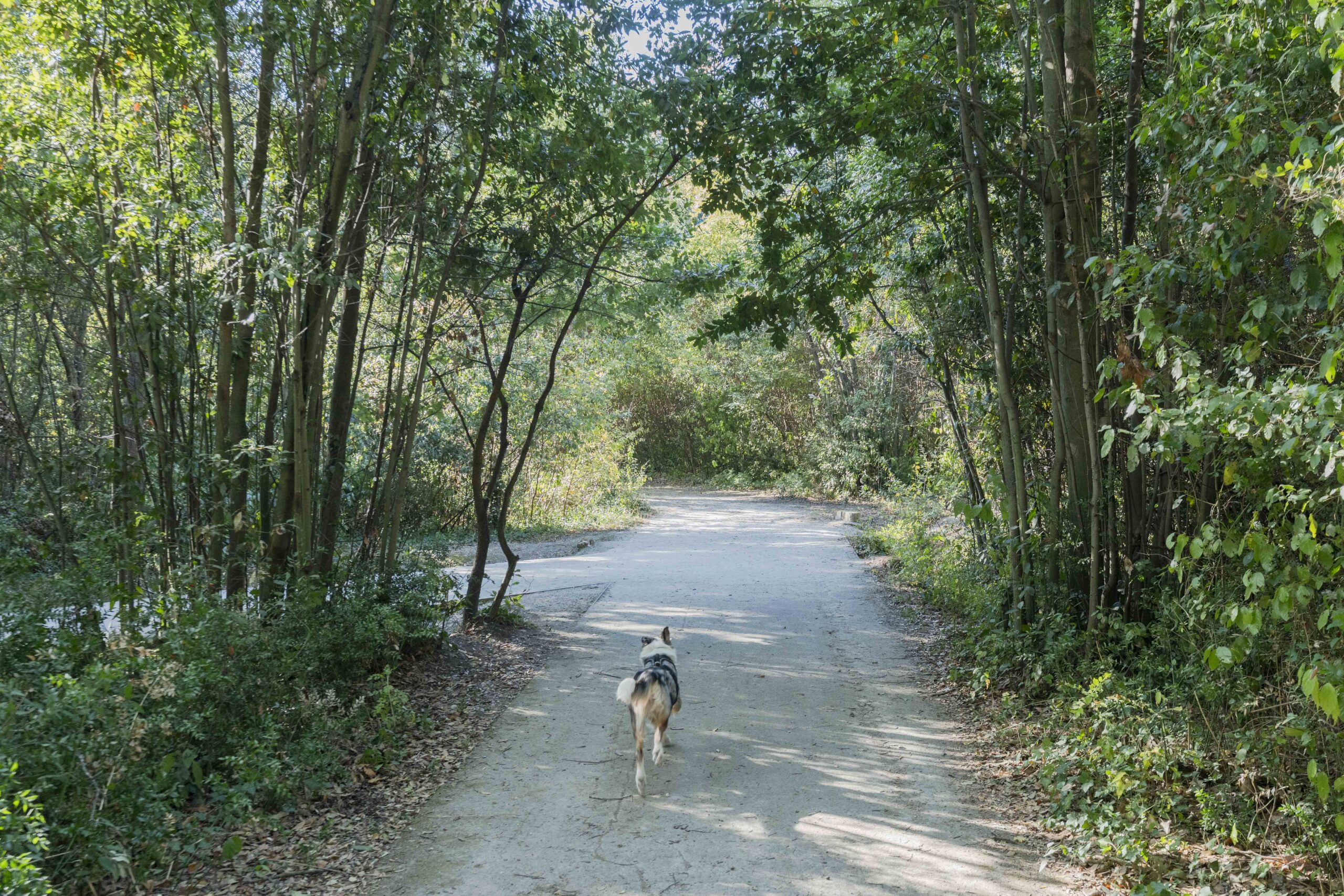 Parc de font colombe