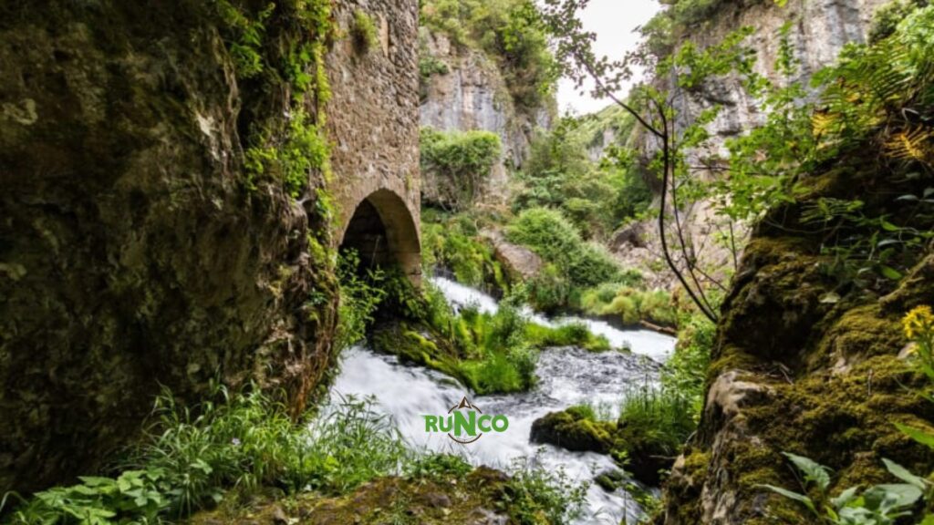 S’évader dans la nature : balades et sentiers autour de Lavérune
