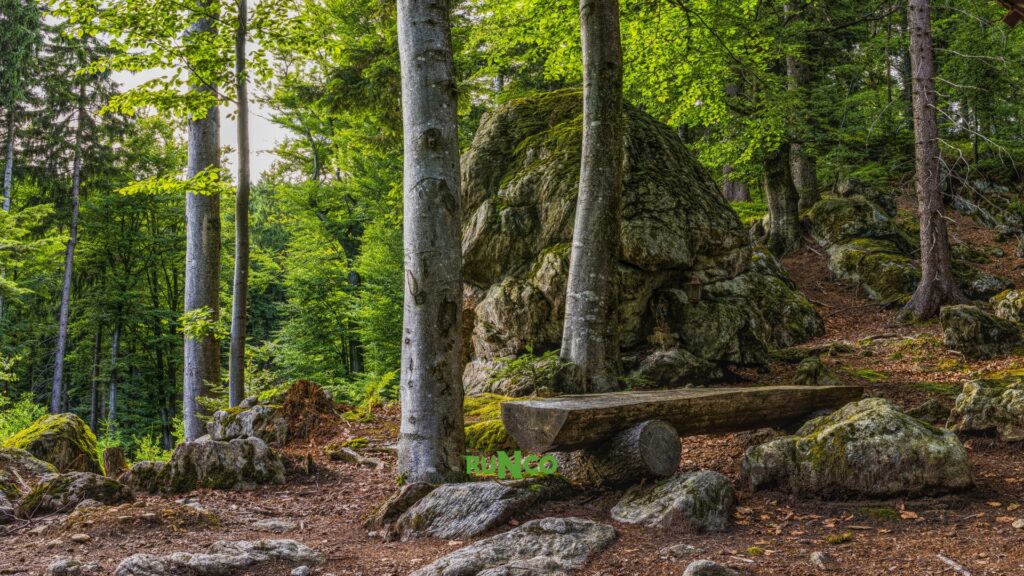Pourquoi ces lieux font la différence